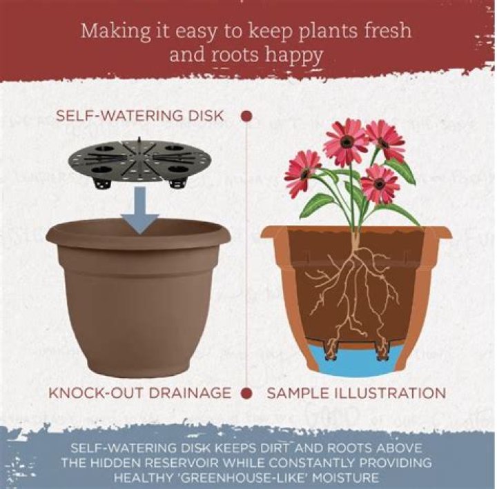 Are drainage holes in pots necessary?