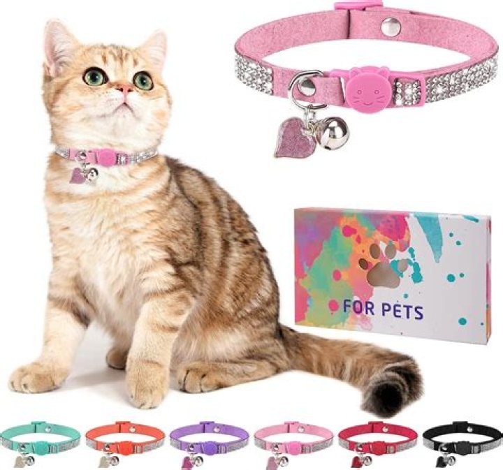 Are elastic cat collars safe?