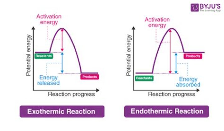 Are elimination reactions endothermic?