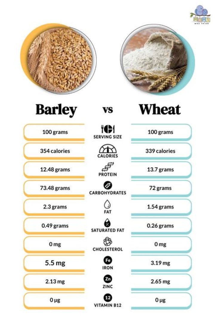 Are farro and barley the same?