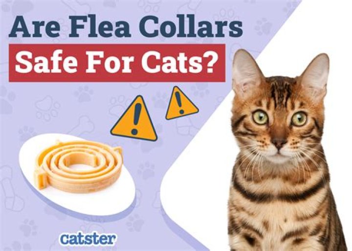 Are flea collars safe for cats?