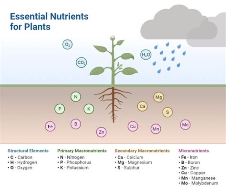 Are nutrients recycled in an ecosystem?