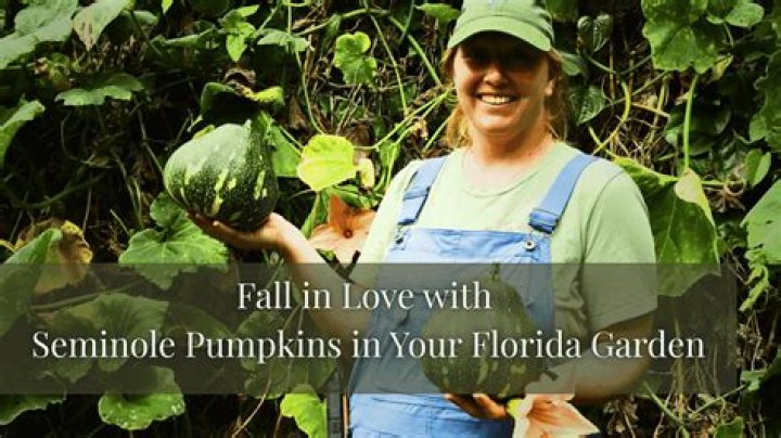 Are pumpkins native to florida?