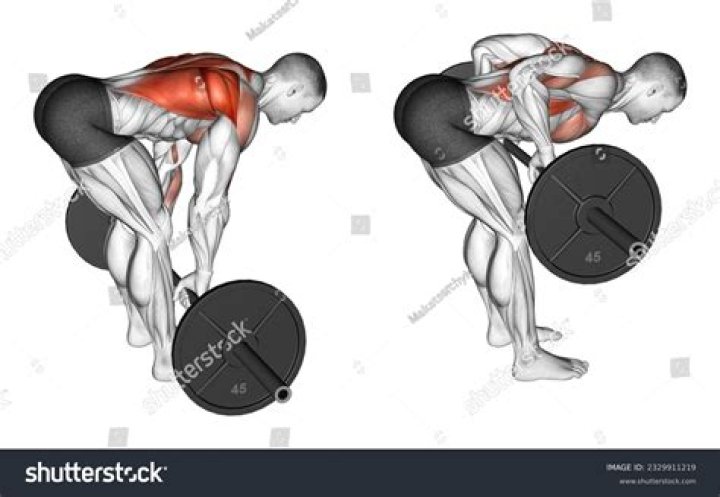 Are rows a back exercise?