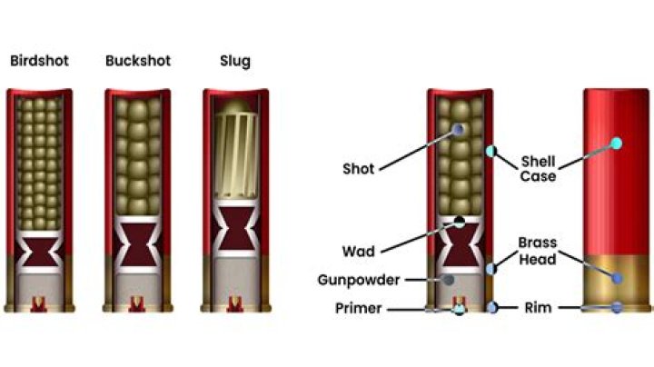 Are shotgun cartridges dangerous?