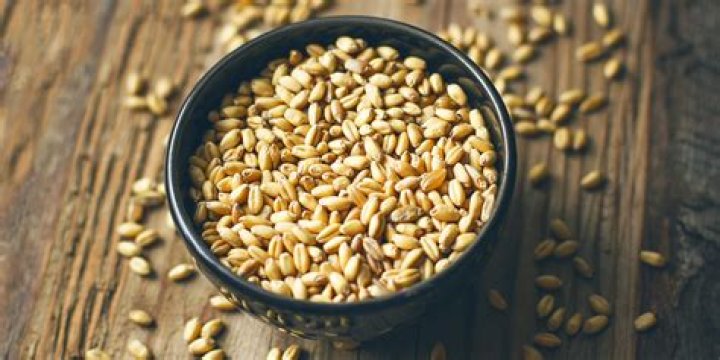 Are shredded wheat good for diabetics?