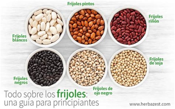 ¿Cómo se le llama a los frijoles en otros países?