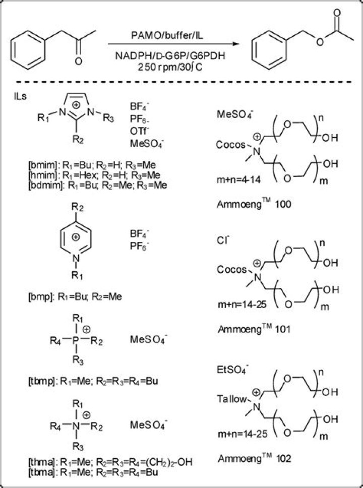 Can amines be oxidised?