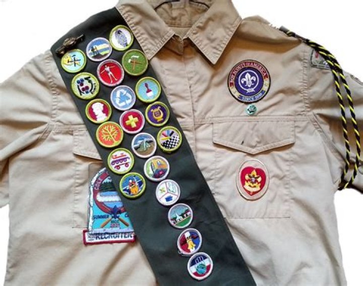 Can cub scouts earn merit badges?