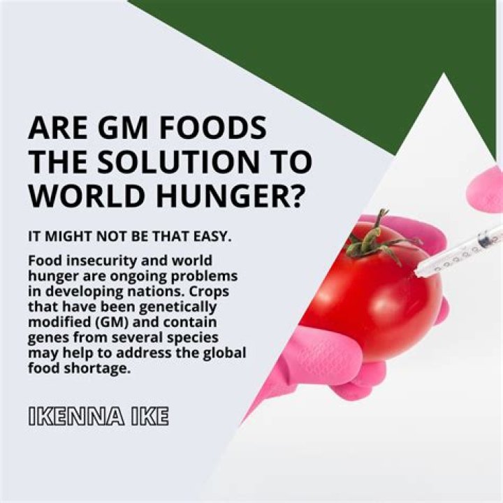 Can genetically modified food solve world hunger?