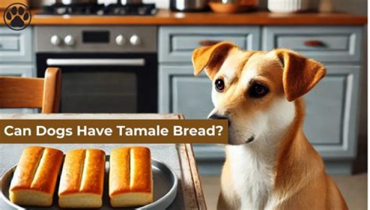 Can my dog eat tamale?