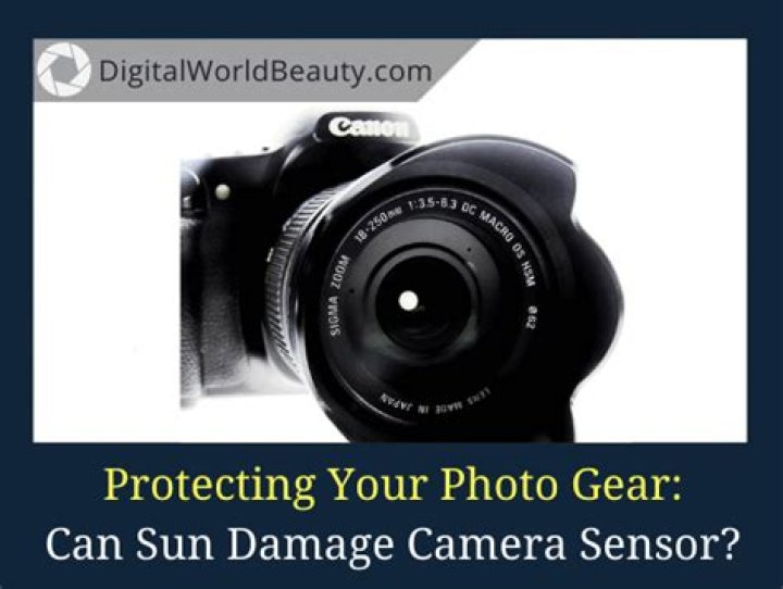 Can the sun damage your camera?