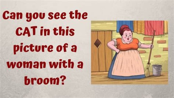 Can you find the cat lady with broom?