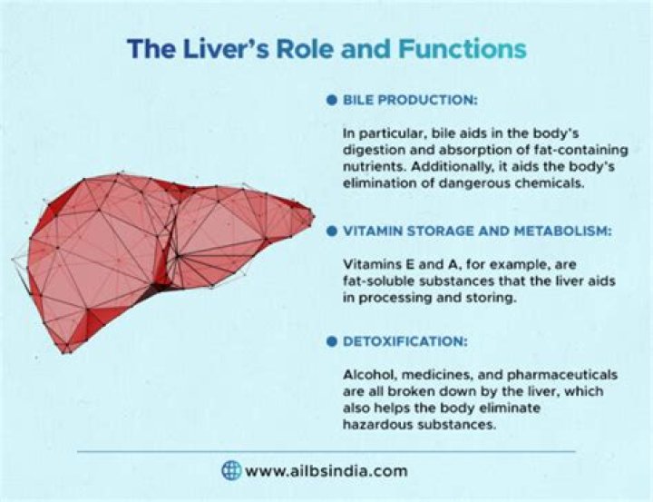 Can you live without liver?