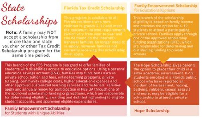 Can you lose the mckay scholarship?