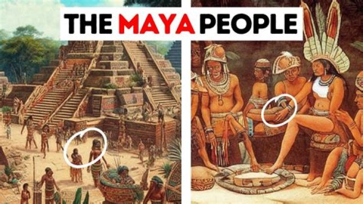 Could anyone become a mayan priest?