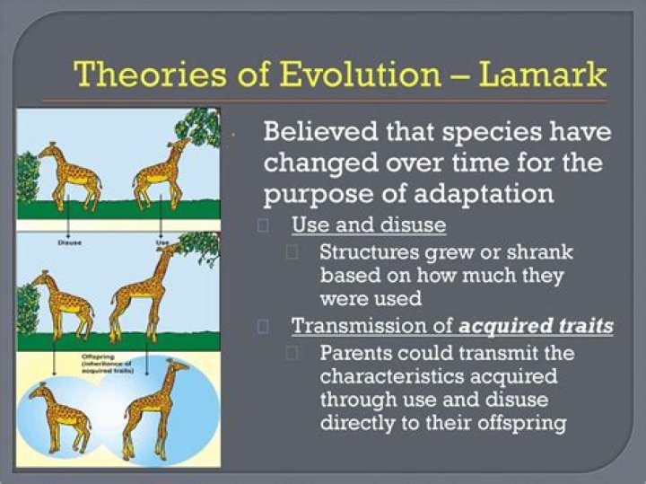Did lamarck believe in evolution?