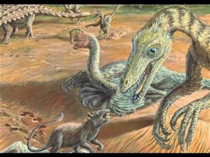 Did mammals and dinosaurs coexist?
