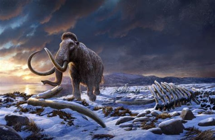 Did mammoths live in the ice age?