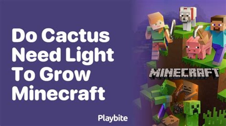 Do cocoa beans need light to grow Minecraft?