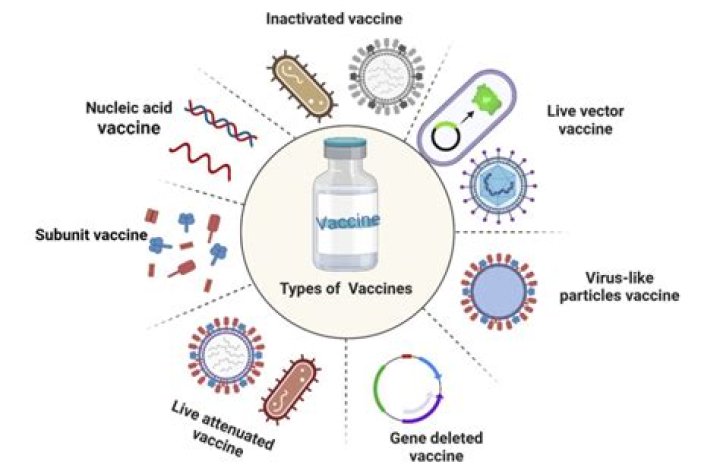 Do covid 19 vaccines have adjuvants?