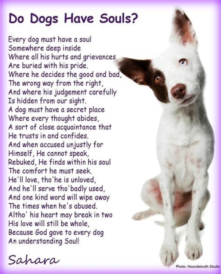 Do dogs have a soul according to the bible?