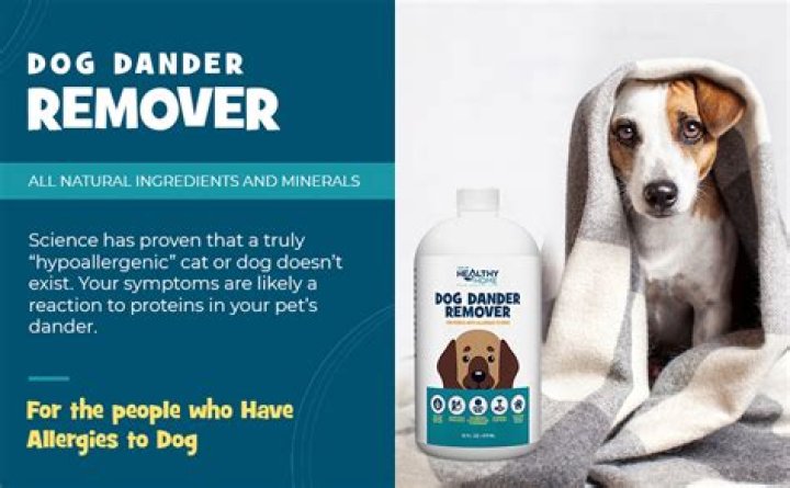 Do non shedding dogs have dander?