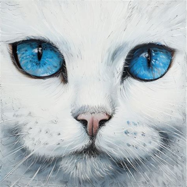 Do white cats have blue eyes?