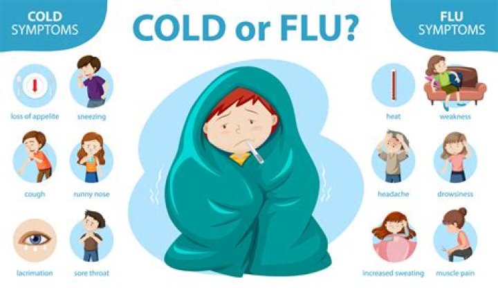 Do you get sick in the cold?