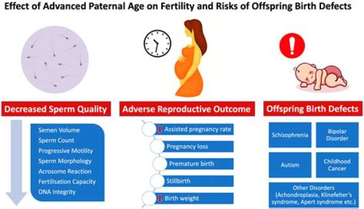 Does an orchiectomy affect fertility?