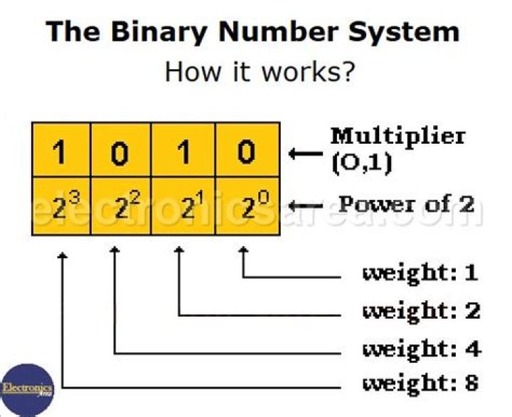 Does analog use binary?