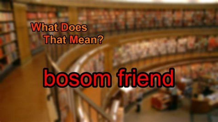 Does bosom friend mean?