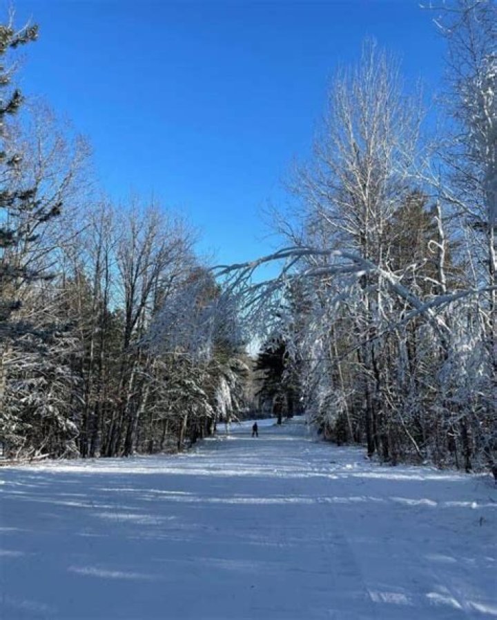 Does minnesota get snow?