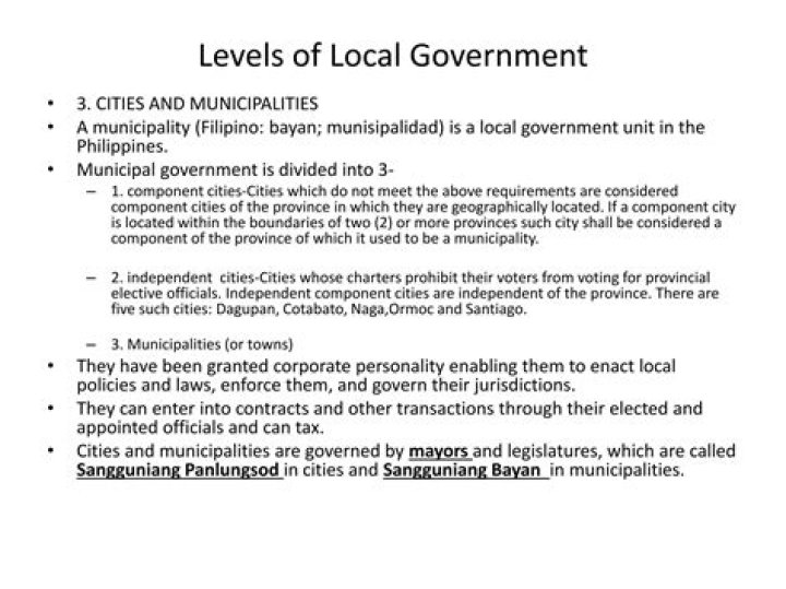Does municipality falls under government?