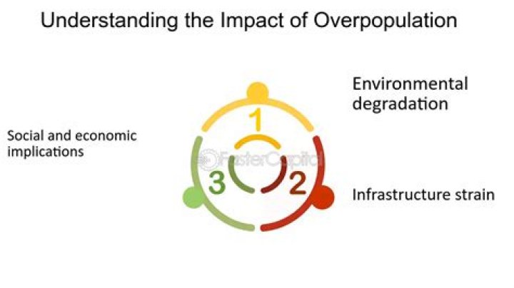 Does overpopulation cause poverty?