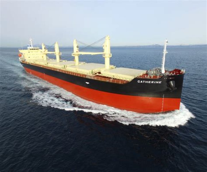 Does sherri hill ship?