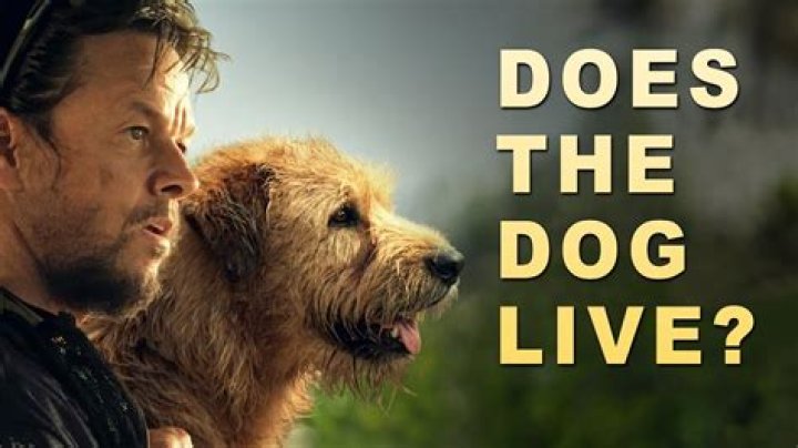 Does the dog die in Resident Evil 4?