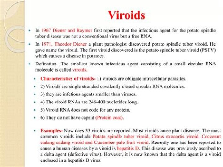 Does viroids have rna?