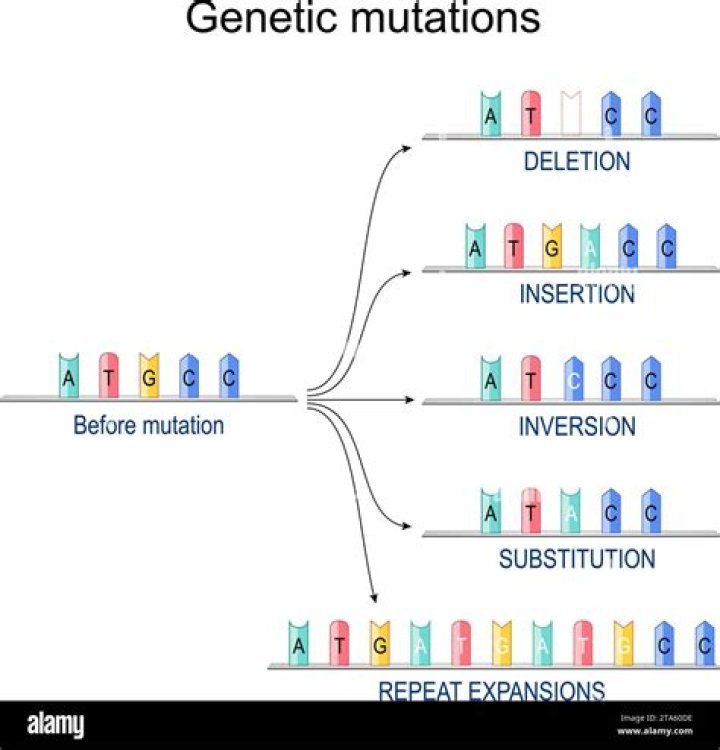 Has a mutation in gene?
