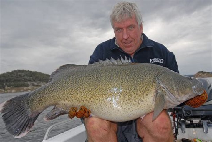 Has copeton dam ever been full?