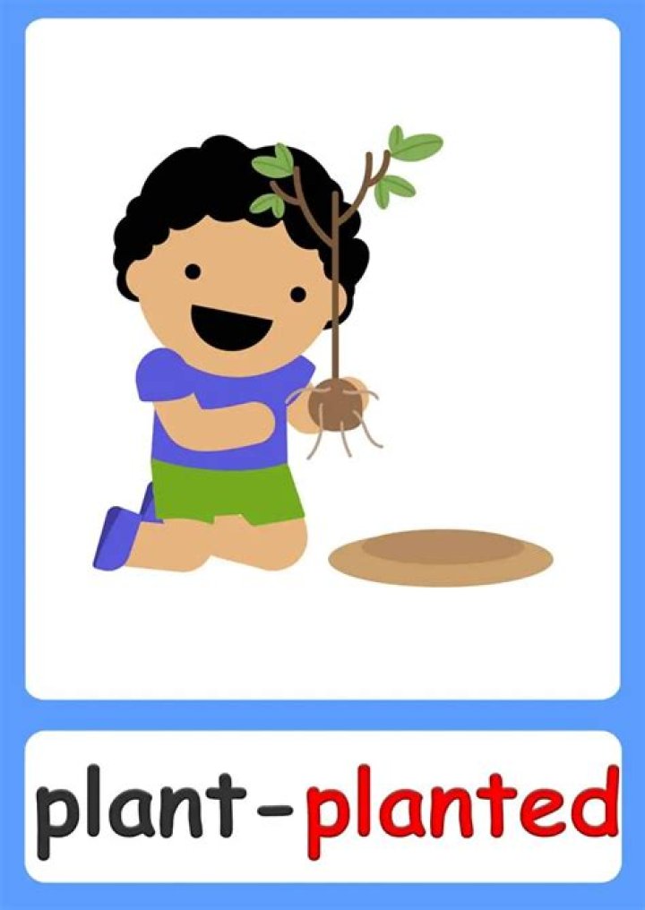 Has planted verb tense?