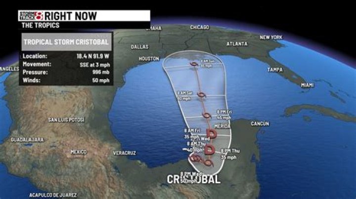 Has tropical storm cristobal made landfall?