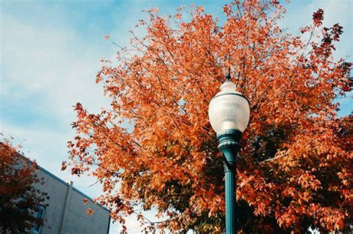 How big is sagle idaho?