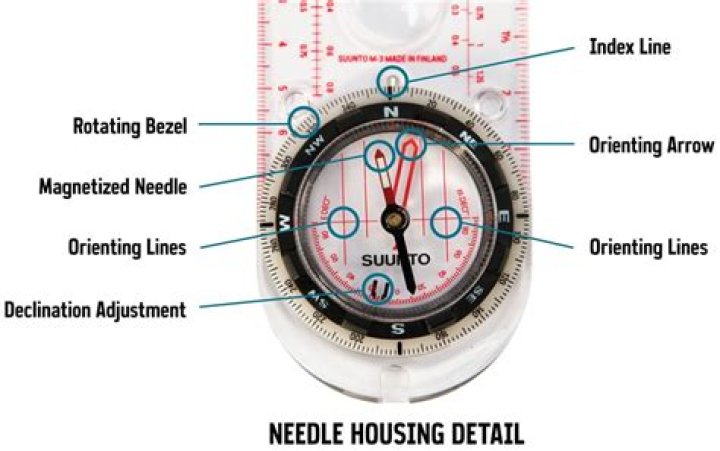 How can needle of compass determine direction?