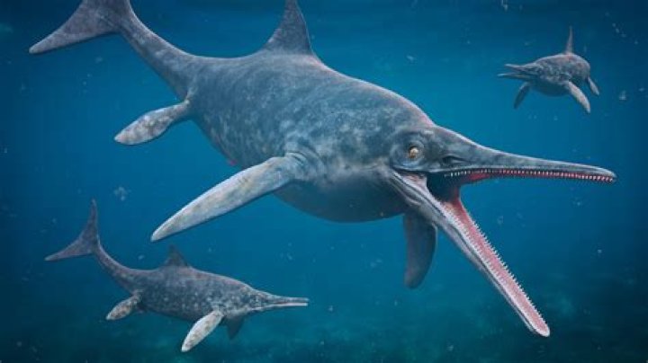 How did ichthyosaurs breathe?