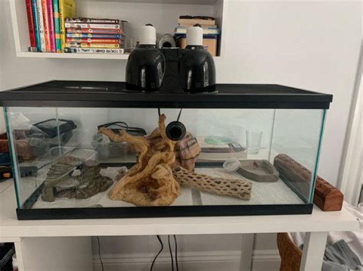 How do I cool down my geckos tank?
