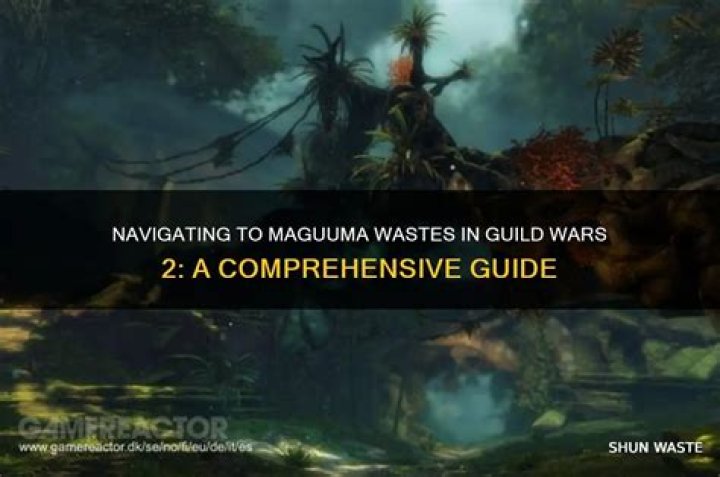 How do I get to Maguuma wastes gw2?
