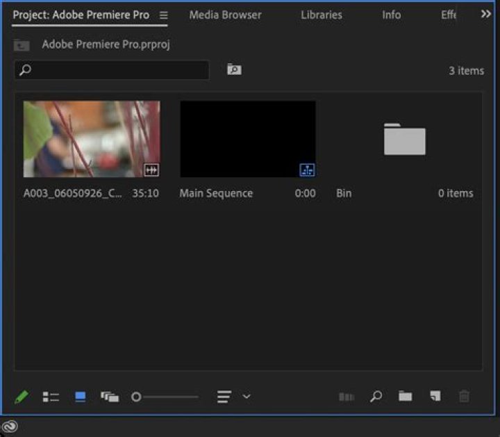 How do I reset a panel in Premiere Pro?