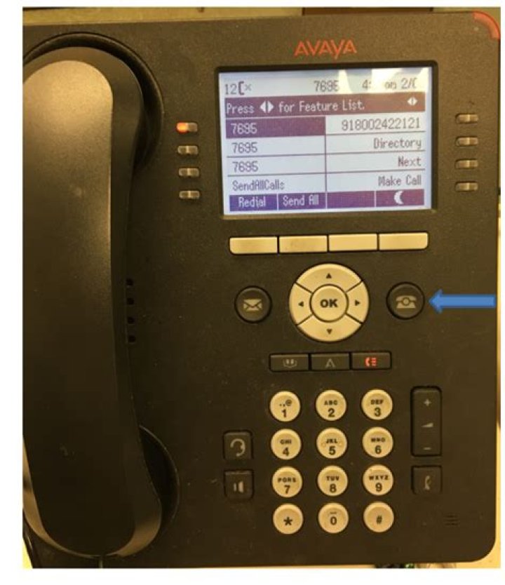 How do you mute an Avaya phone?