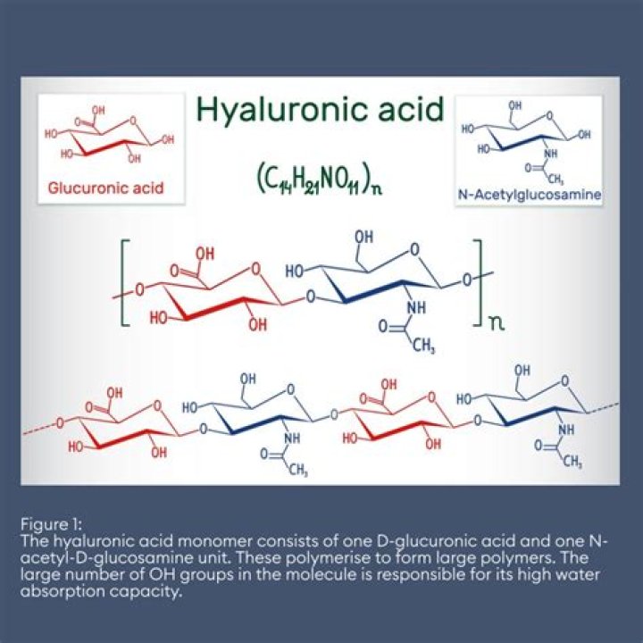 How glucuronic acid is formed?
